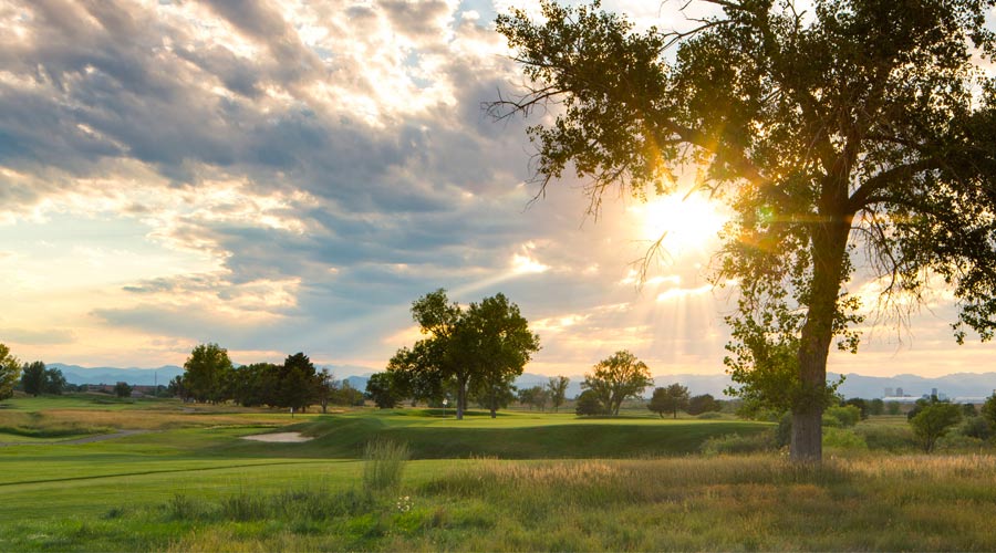 hole2 commongroundgolf